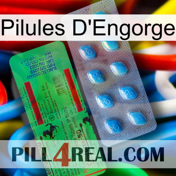 Engorge Pills new03